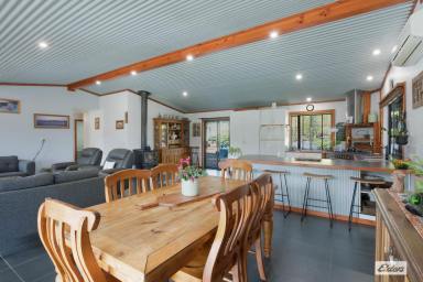 Acreage/Semi-rural For Sale - NSW - Wyndham - 2550 - SUSTAINABLE LIVING  (Image 2)