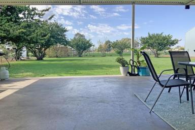 Acreage/Semi-rural For Sale - NSW - Narromine - 2821 - Peace, quiet and serenity on the edge of town  (Image 2)