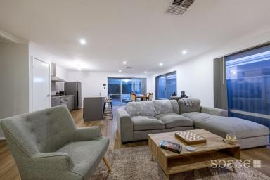 House Sold - WA - Alkimos - 6038 - Low maintenance family home  (Image 2)