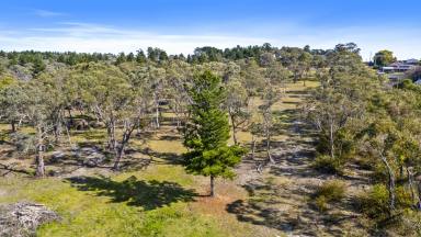 Residential Block For Sale - NSW - Portland - 2847 - Portland opportunity - subdivision possibility!  (Image 2)