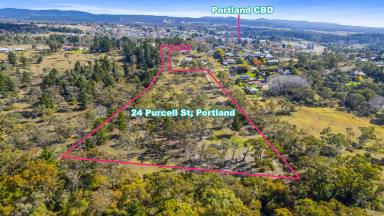 Residential Block For Sale - NSW - Portland - 2847 - Portland opportunity - subdivision possibility!  (Image 2)