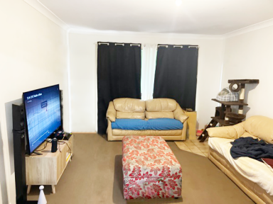 House For Lease - NSW - West Tamworth - 2340 - 14 Maxwell Street  (Image 2)