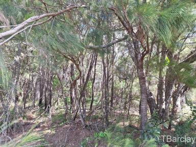 Residential Block For Sale - QLD - Macleay Island - 4184 - Close to town  (Image 2)