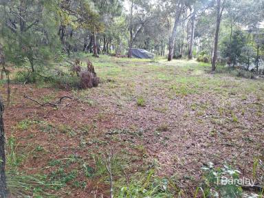 Residential Block For Sale - QLD - Macleay Island - 4184 - Mostly Cleared  (Image 2)