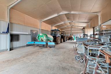 Viticulture For Sale - VIC - Cardross - 3496 - A FABULOUS OPPORTUNITY  (Image 2)