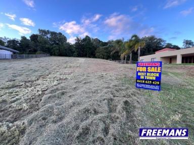 Residential Block For Sale - QLD - Kingaroy - 4610 - Postcard view of the Bunya Mountains  (Image 2)