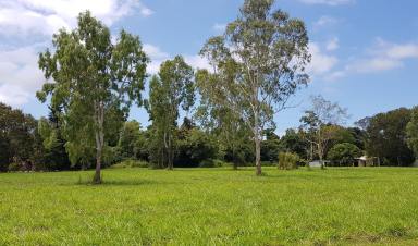 Residential Block For Sale - QLD - Carruchan - 4816 - Vacant rural block with Creek frontage & lovely mountain views  (Image 2)