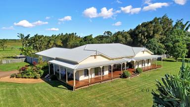 Acreage/Semi-rural For Sale - QLD - Bargara - 4670 - Country Homestead on 4.2 acres … 1.3Kms to Kelly’s Beach  (Image 2)
