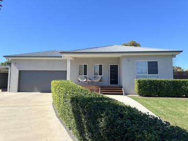 House For Sale - NSW - Moree - 2400 - STEP INSIDE AND BE IMPRESSED  (Image 2)