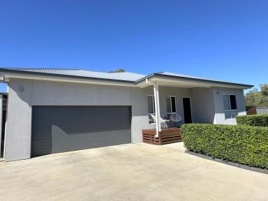 House For Sale - NSW - Moree - 2400 - STEP INSIDE AND BE IMPRESSED  (Image 2)