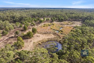 Other (Rural) For Sale - Vic - Swan Marsh - 3249 - Private, Productive with Sustainable Potential...  (Image 2)