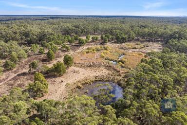 Other (Rural) Sold - Vic - Swan Marsh - 3249 - Private, Productive with Sustainable Potential...  (Image 2)
