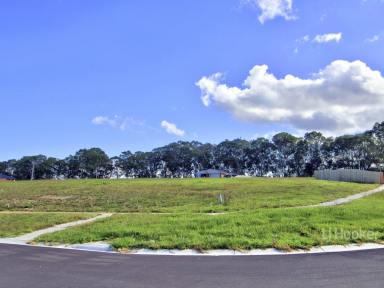 Residential Block For Sale - VIC - Nicholson - 3882 - TITLED CORNER BLOCK ACROSS THE ROAD FROM THE RIVER RESERVE  (Image 2)