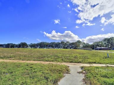 Residential Block For Sale - VIC - Nicholson - 3882 - TITLED CORNER BLOCK ACROSS THE ROAD FROM THE RIVER RESERVE  (Image 2)