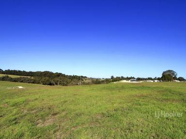 Residential Block For Sale - VIC - Nicholson - 3882 - TITLED CORNER BLOCK ACROSS THE ROAD FROM THE RIVER RESERVE  (Image 2)