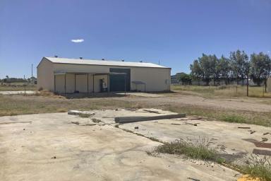 House Sold - QLD - Longreach - 4730 - Serenity close to town  (Image 2)