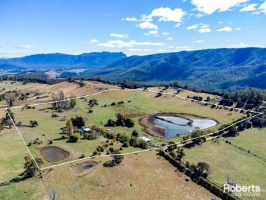 House For Sale - TAS - Mole Creek - 7304 - Four Bedroom  Farmhouse With  Dam and Acreage  (Image 2)