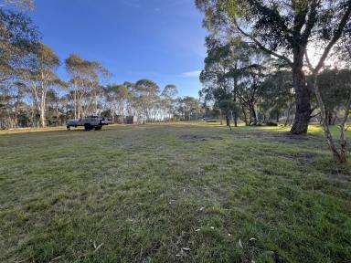 Lifestyle For Sale - NSW - Tomboye - 2622 - Craving The Country Life, Beauty & Nature, 2 Acre Manicured Lot, Dwelling Entitlement To Build Your Country Home. Your Dreams Start Here.  (Image 2)