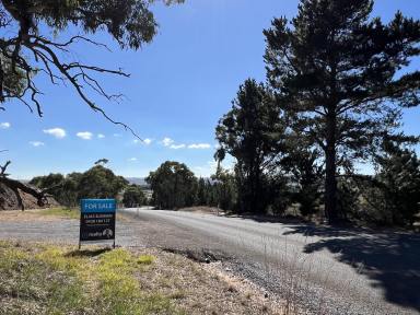 Lifestyle For Sale - NSW - Wayo - 2580 - 40 Acres, Mostly Level, Shed, Water Tank & Power On Site, Fully Fenced, Great Location, Valley & Mountain Views.  (Image 2)