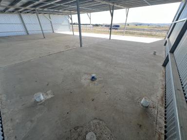 Other (Rural) For Sale - NSW - Wayo - 2580 - Perfect Weekender, Ideal For Horses, 40 Acres, Fully Fenced, Dams, Shed, Power  (Image 2)