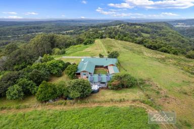 House For Sale - QLD - Coondoo - 4570 - SITTING PRETTY ON TOP OF THE WORLD!  (Image 2)