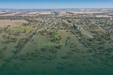 Residential Block For Sale - VIC - Bridgewater On Loddon - 3516 - Secure your parcel of land and plan your dream home in beautiful Bridgewater on Loddon  (Image 2)