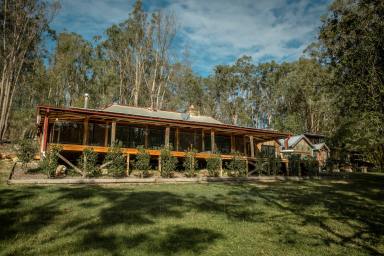 Acreage/Semi-rural For Sale - NSW - Wollombi - 2325 - Old Pop's Farm  (Image 2)