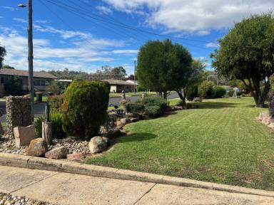 House For Sale - NSW - Inverell - 2360 - The Perfect Family Home  (Image 2)
