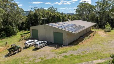 Lifestyle Sold - NSW - Dorrigo - 2453 - UNDER CONTRACT  (Image 2)