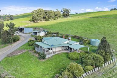 Mixed Farming For Sale - VIC - Poowong East - 3988 - PRIME DAIRY & BEEF COUNTRY  (Image 2)