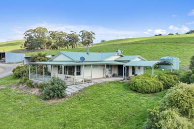 Mixed Farming For Sale - VIC - Poowong East - 3988 - PRIME DAIRY & BEEF COUNTRY  (Image 2)