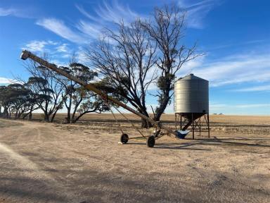 Cropping Sold - WA - Ucarty - 6462 - Lifestyle / Hobby farm block $369,000  (Image 2)