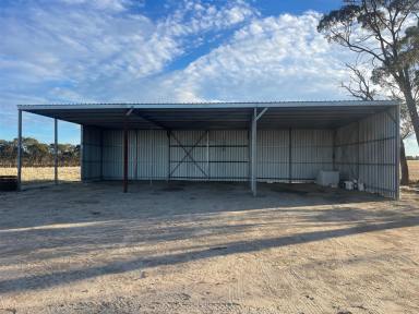 Cropping Sold - WA - Dowerin - 6461 - Lifestyle / Hobby farm block $369,000  (Image 2)