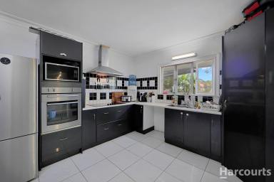 House For Sale - QLD - Svensson Heights - 4670 - Comfortable Low-Set Brick Home Available Now!  (Image 2)