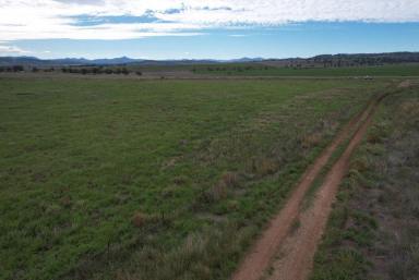 Residential Block For Sale - NSW - Merriwa - 2329 - Great block with a view!  (Image 2)