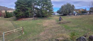 Residential Block For Sale - NSW - Adelong - 2729 - Land Sale in Adelong  (Image 2)