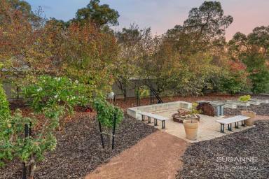 House Sold - WA - Lesmurdie - 6076 - Family Sanctuary in Prime Location; The Ultimate Hills Entertainer!  (Image 2)