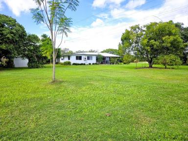 Mixed Farming For Sale - QLD - Mareeba - 4880 - GOOD WATER, ANY CROP YOU DESIRE OR SIMPLY LIFESTYLE WITH INCOME!  (Image 2)
