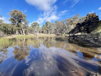 Lifestyle Sold - NSW - Lower Boro - 2580 - 40 Hectares, 3Br Cottage + Ensuite, Double Garage + 5 Bay Workshop, Dual Road Frontage, Dam, 30 Mins From Goulburn.  (Image 2)