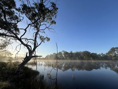 Livestock For Sale - NSW - Marulan - 2579 - 210 Acres + Dwelling Entitlement To Build, 2 Huge Lakes, Swim, Fish, Kayak, Graze, Relax & Enjoy, Zoned Ru2, Perfect Location..  (Image 2)