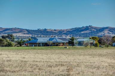 Mixed Farming For Sale - NSW - Nangus - 2722 - RIVENDELL  (Image 2)