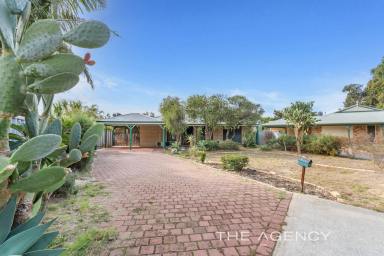 House Sold - WA - Seville Grove - 6112 - Chance To Get Into The Market!!!  (Image 2)
