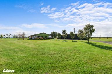 Farmlet Sold - VIC - Hunterston - 3971 - SOLITUDE, SERENITY AND SECLUSION - NO NEIGHBORS NEARBY  (Image 2)