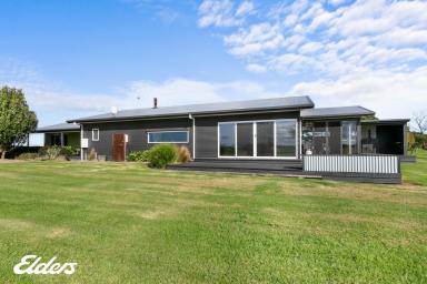 Farmlet Sold - VIC - Hunterston - 3971 - SOLITUDE, SERENITY AND SECLUSION - NO NEIGHBORS NEARBY  (Image 2)