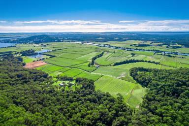 Lifestyle For Sale - NSW - Maclean - 2463 - BEAUTIFUL HOME SET ON A PRODUCTIVE 323ACRE SUGAR CANE FARM!  (Image 2)