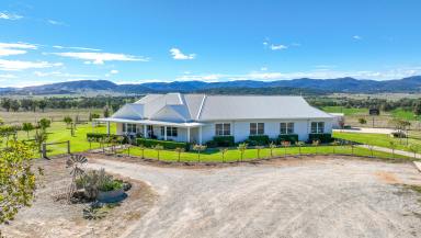 Mixed Farming For Sale - NSW - Tamworth - 2340 - Prime lifestyle near Tamworth  (Image 2)