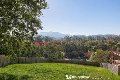 Residential Block For Sale - VIC - Healesville - 3777 - Outstanding Opportunity  - Your Dream Land Awaits!  (Image 2)
