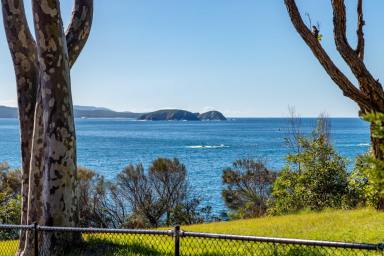 House For Lease - NSW - Malua Bay - 2536 - The Power of the Ocean  (Image 2)