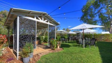 Hotel/Leisure For Sale - QLD - Barcaldine - 4725 - Barcaldine Bliss: Caravan Park, Tea Garden, School Bus Run + Residence All-in-One!  (Image 2)