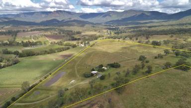 Mixed Farming For Sale - QLD - Thornton - 4341 - Versatile Thornton Farm on 31.37Ha  (Image 2)